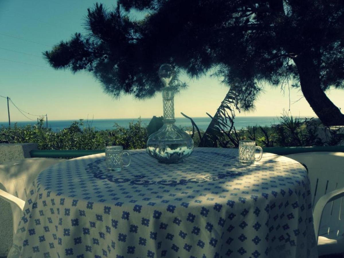 Studios Crete Férma Kültér fotó