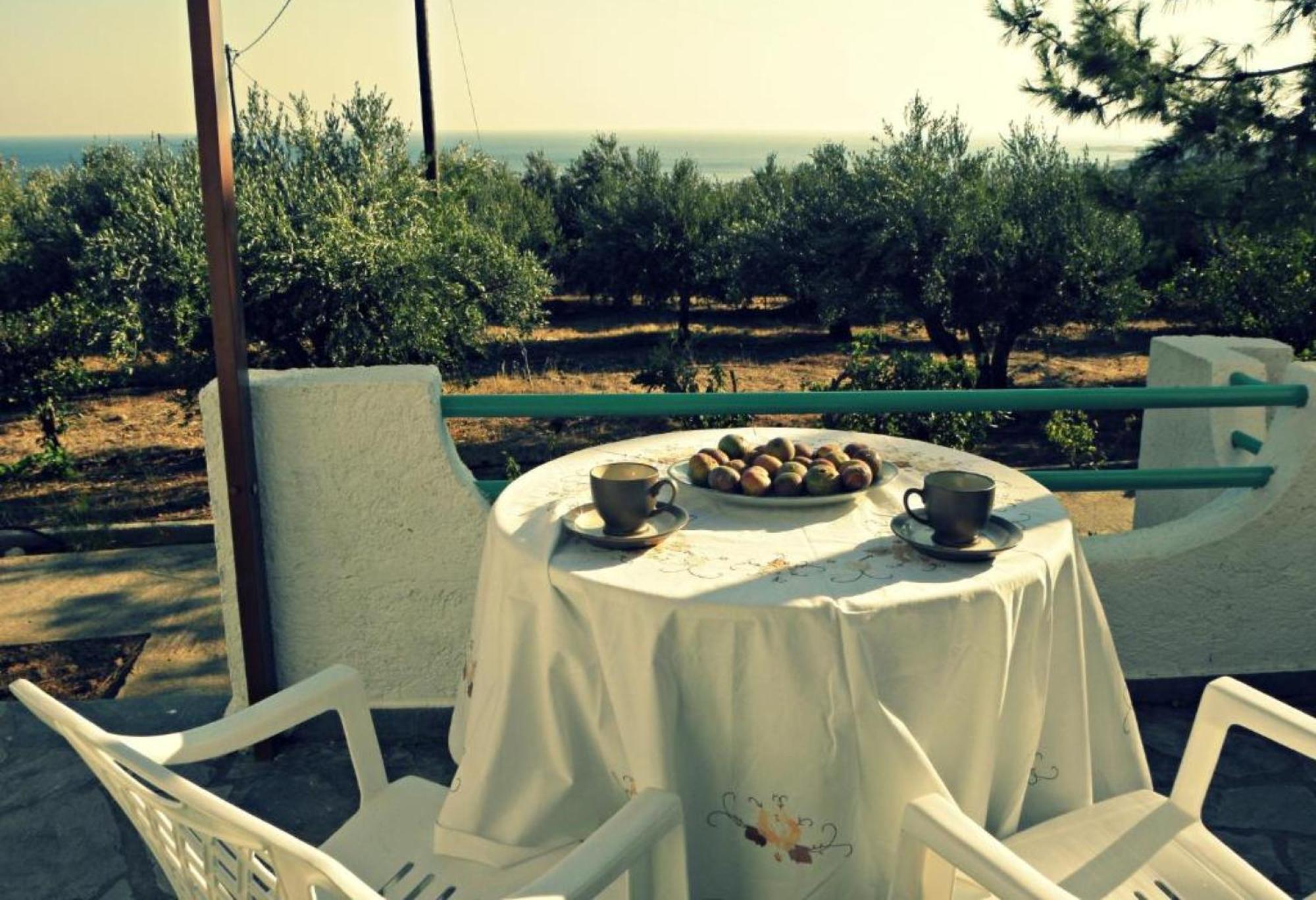 Studios Crete Férma Kültér fotó